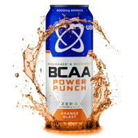 USN BCAA Power Punch Amino Boost 500 мл